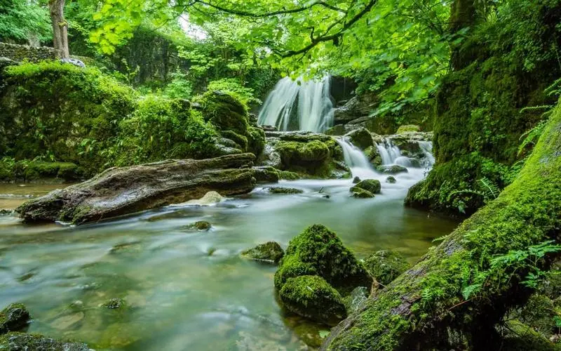 可靠性高性能环保